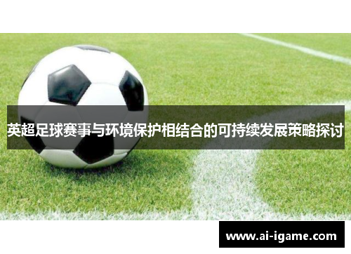 英超足球赛事与环境保护相结合的可持续发展策略探讨 英超足球赛事与环境保护相结合的可持续发展策略探讨