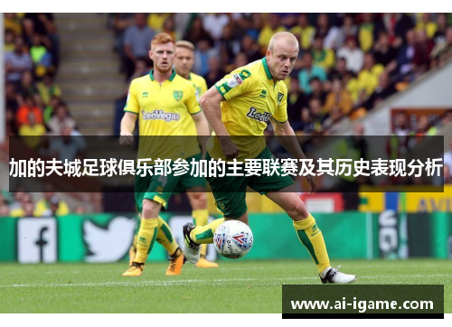 加的夫城足球俱乐部参加的主要联赛及其历史表现分析 加的夫城足球俱乐部参加的主要联赛及其历史表现分析